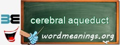 WordMeaning blackboard for cerebral aqueduct